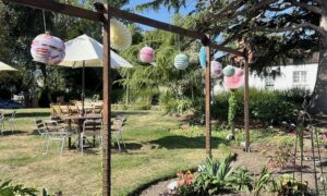 Chichester Arts Centre Exterior Garden